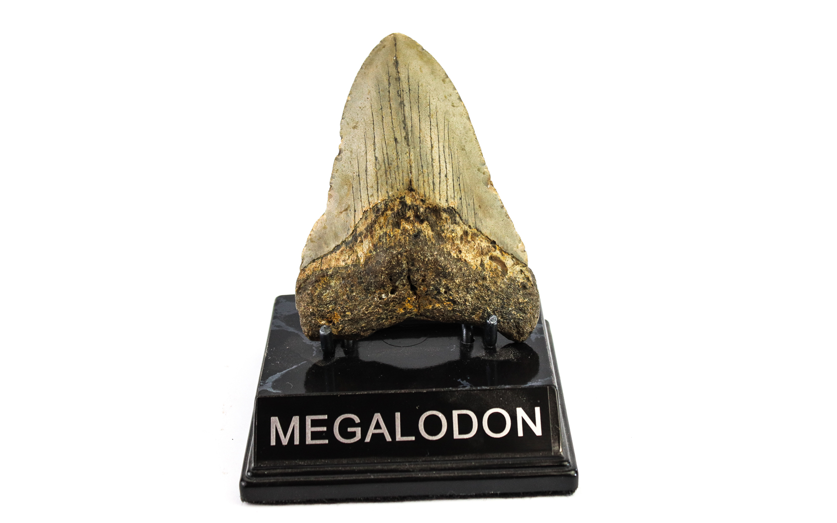 Lot 94 - Image 2